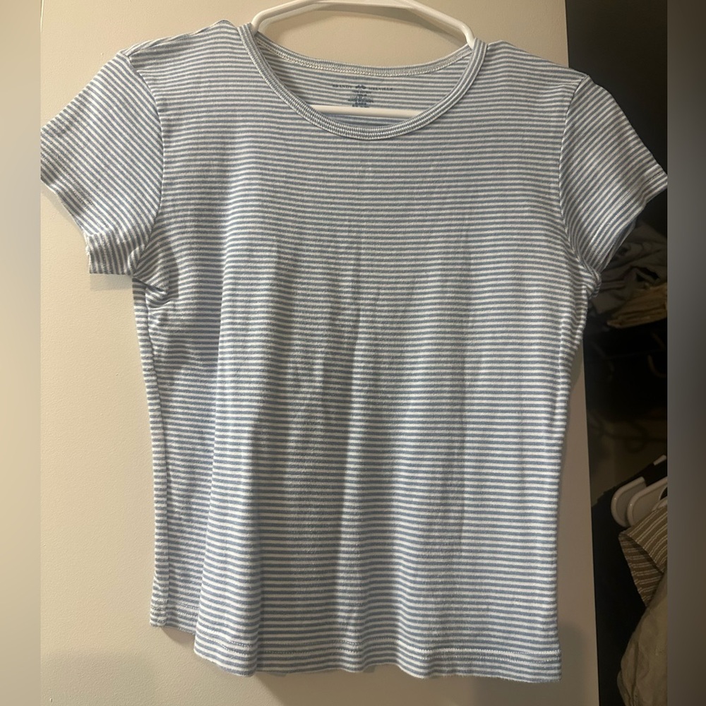 Brandy Melville Blue and White Striped Short Sleeve Tee